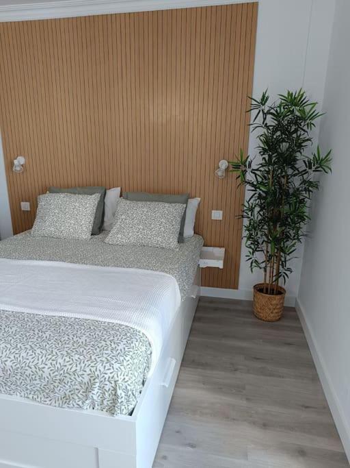 Estudio Girasol Puerto de la Cruz  Exteriör bild